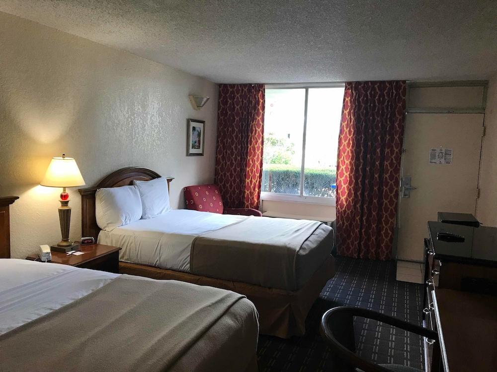 Quality Inn Tampa Lake Magdalene Экстерьер фото